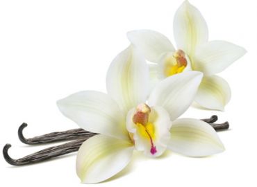 Vaginal, Vulvar and Anal Bleaching or Lightening