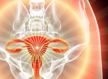 Urogyncology Surgery & Care